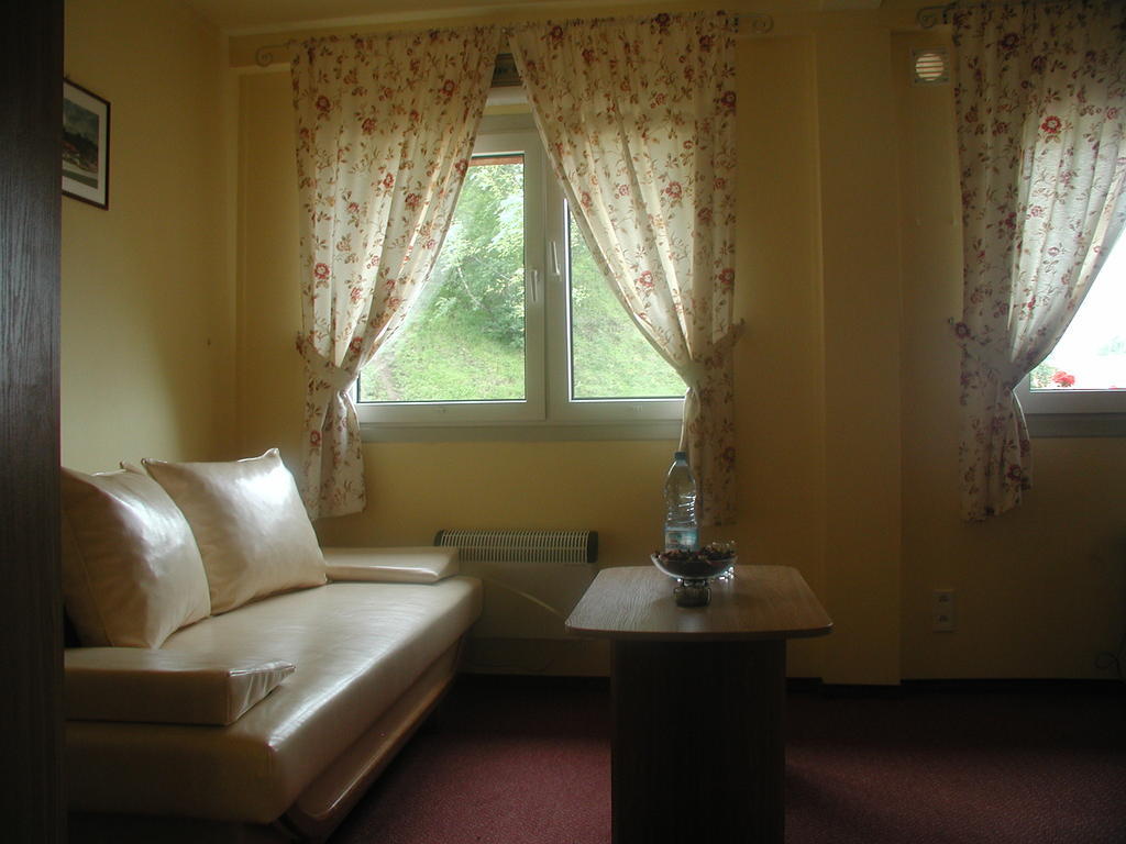 Pensjonat Cztery Pory Roku Tarnowskie Góry Kamer foto